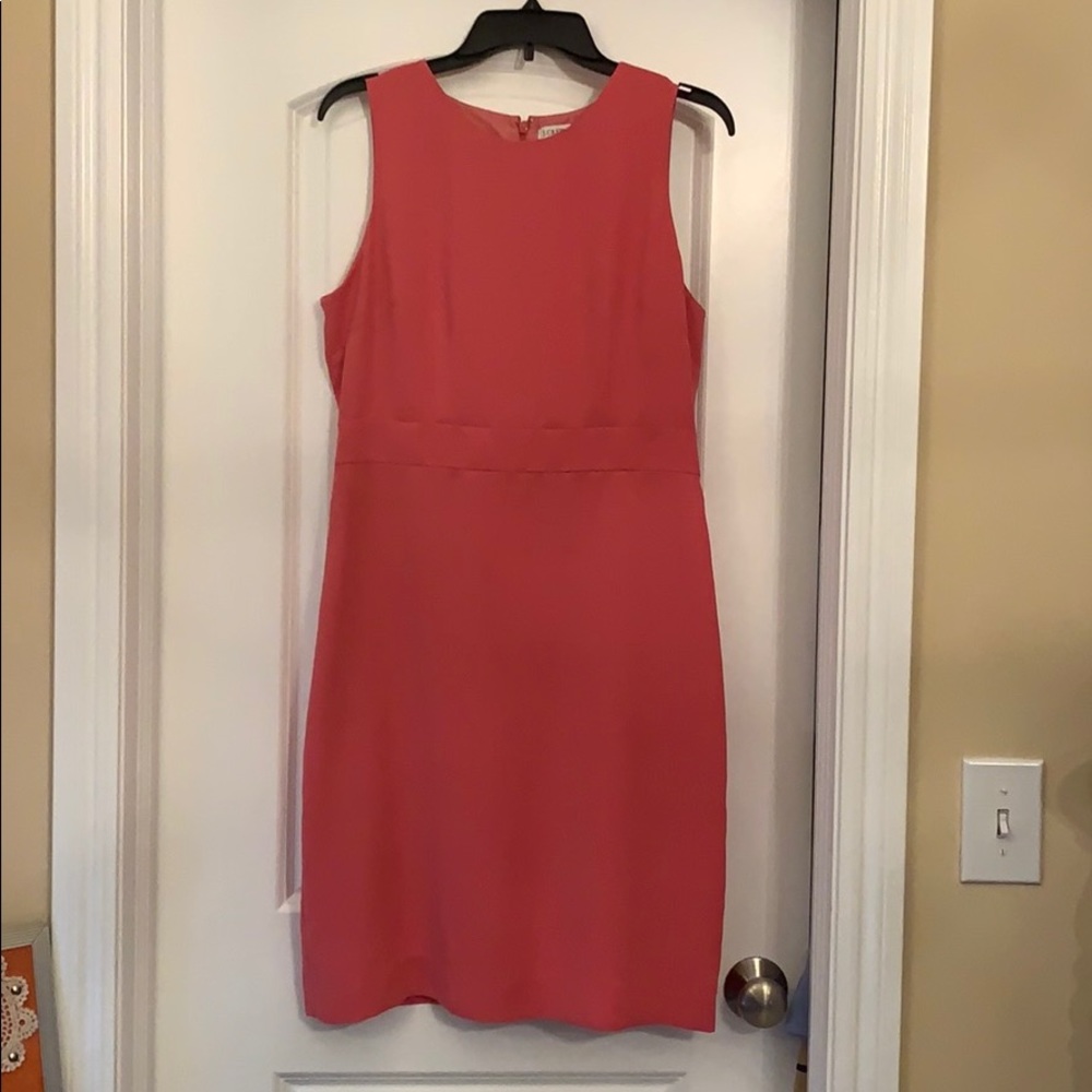 Pink J. Crew Dress